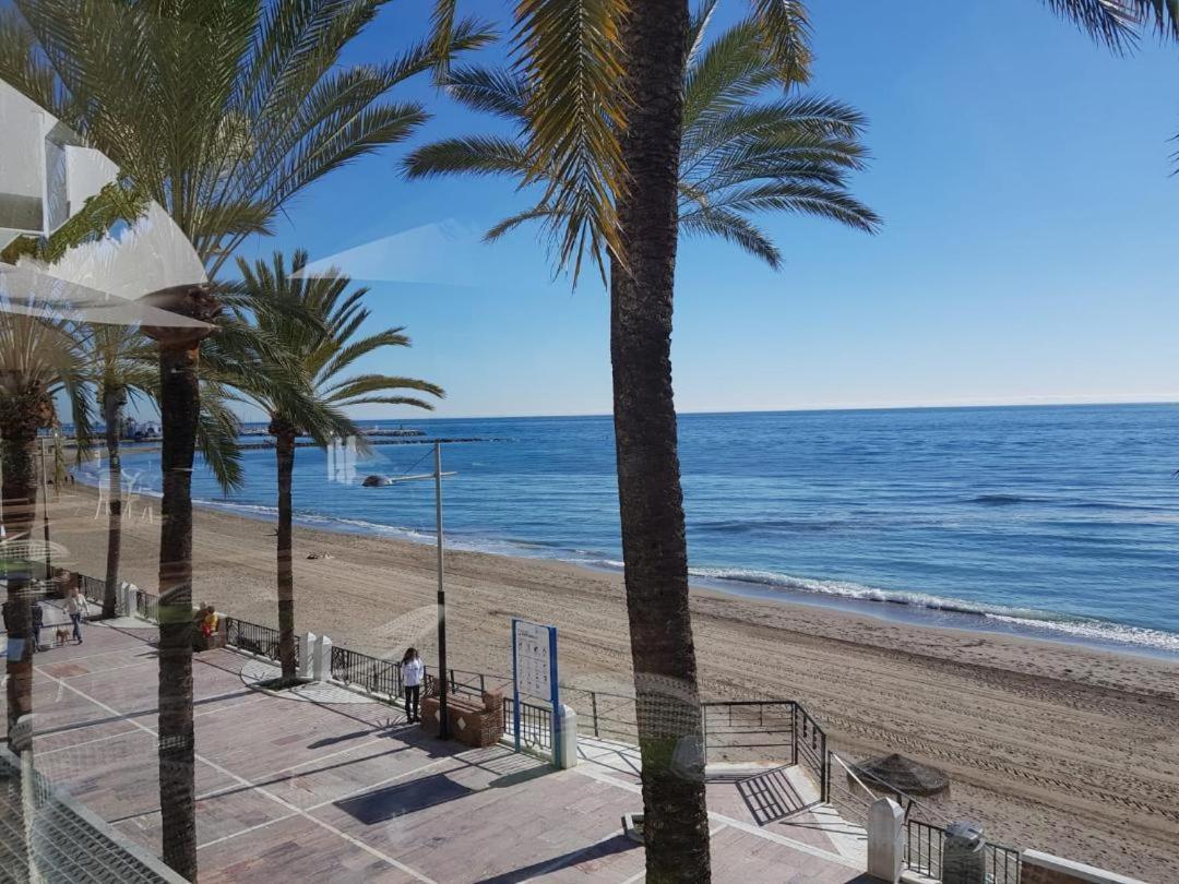 Apartamento Serna *